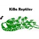 interview-kiba-reptiles
